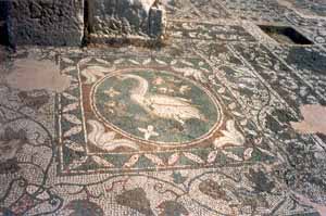 Soloi, palaiochristian basilica, mosaics.